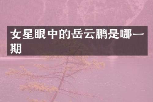 女星眼中的岳云鹏是哪一期