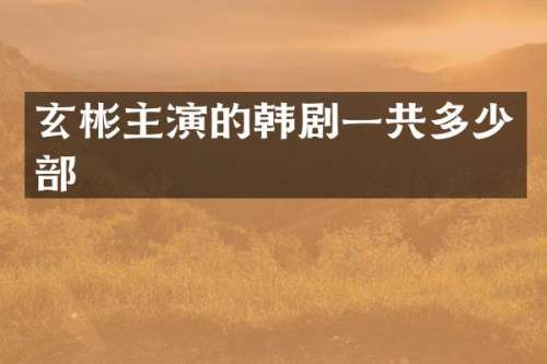 玄彬主演的韩剧一共多少部