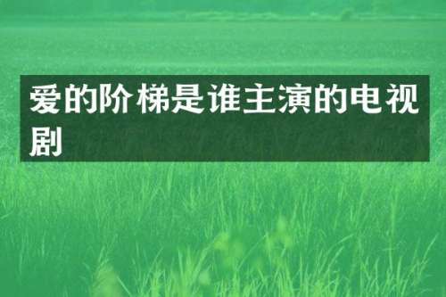 爱的阶梯是谁主演的电视剧