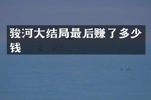 骏河大结局最后赚了多少钱