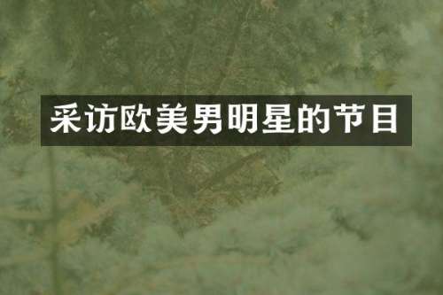 采访欧美男明星的节目