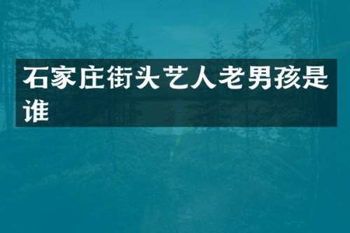 石家庄街头艺人老男孩是谁