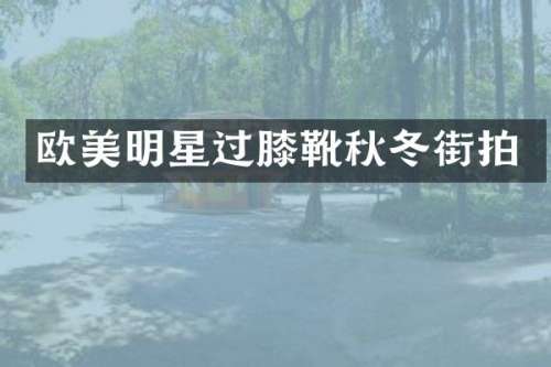 欧美明星过膝靴秋冬街拍