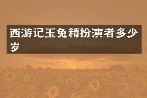 西游记玉兔精扮演者