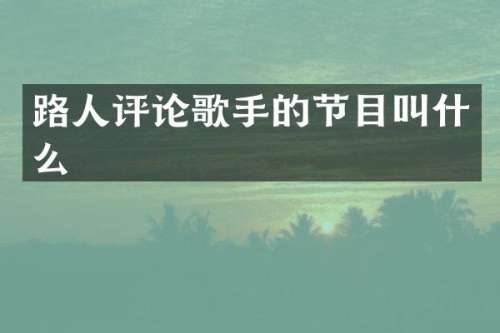 路人评论歌手的节目叫什么