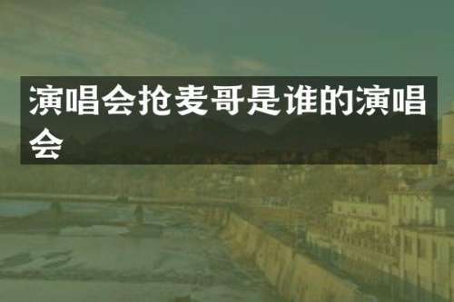 演唱会抢麦哥是谁的演唱会