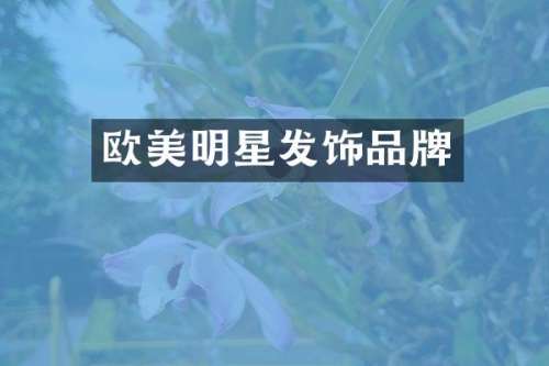 欧美明星发饰品牌