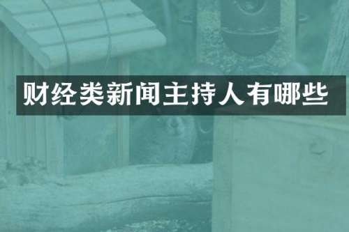 财经类新闻主持人有哪些