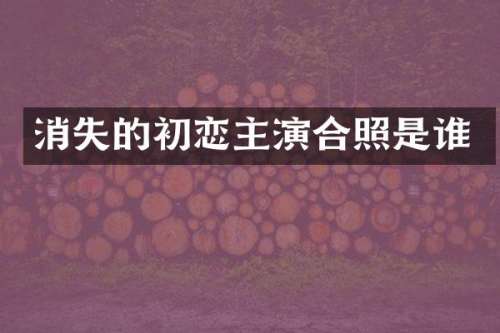 消失的初恋主演合照是谁
