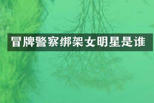 冒牌警察绑架女明星是谁