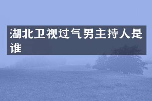 湖北卫视过气男主持人是谁