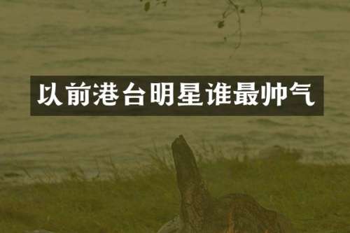 以前港台明星谁最帅气