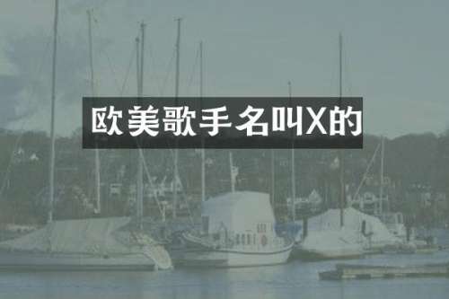 欧美歌手名叫X的