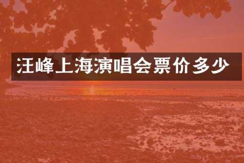 汪峰上海演唱会票价多少