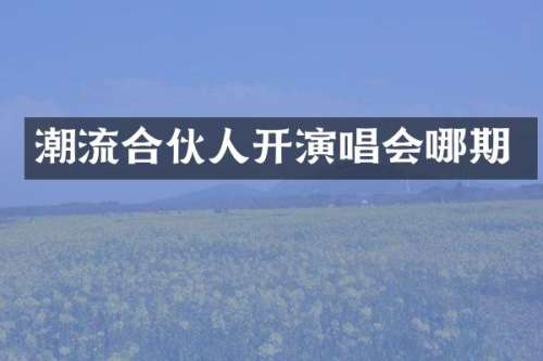 潮流合伙人开演唱会哪期