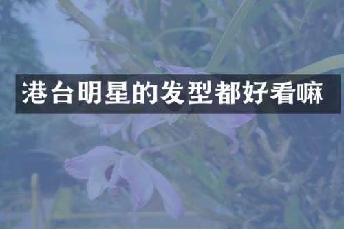 港台明星的发型都好看嘛