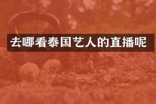 去哪看泰国艺人的直播呢