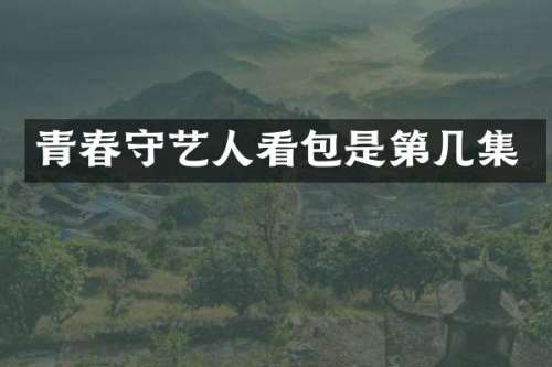 青春守艺人看包是第几集