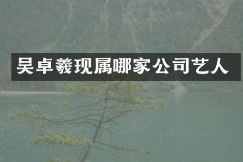 吴卓羲现属哪家公司艺人