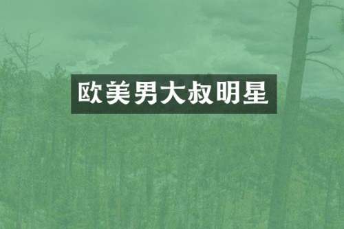 欧美男大叔明星