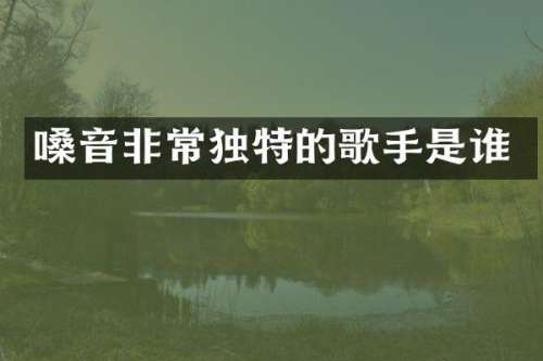 嗓音非常独特的歌手是谁