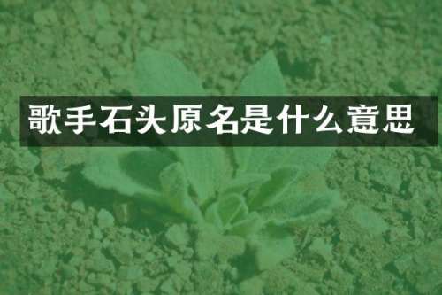 歌手石头原名是什么意思