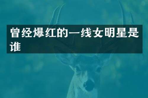 曾经爆红的一线女明星是谁