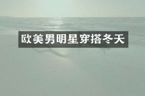 欧美男明星穿搭冬天