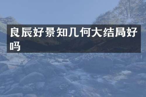 良辰好景知几何大结局好吗