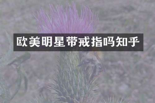 欧美明星带戒指吗知乎