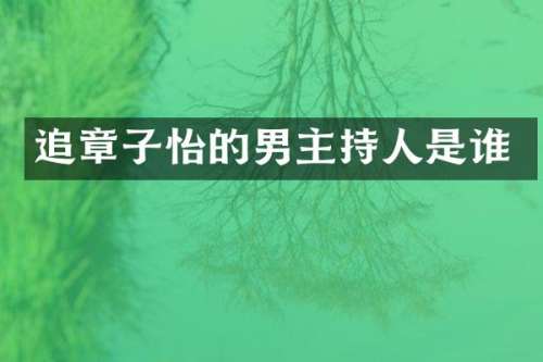 追章子怡的男主持人是谁