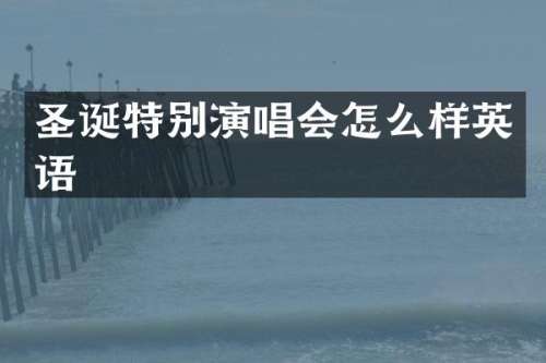 圣诞特别演唱会怎么样英语