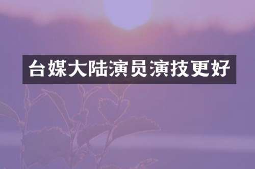 台媒大陆演员演技更好