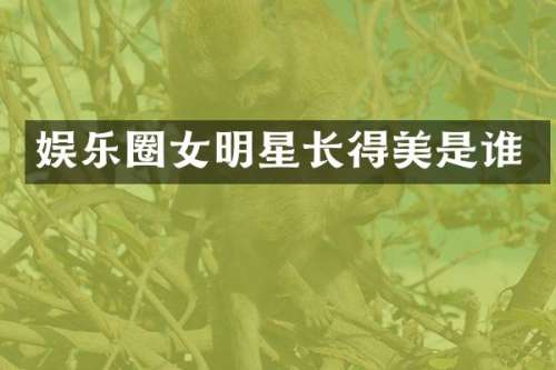 娱乐圈女明星长得美是谁