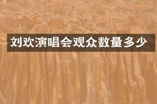 刘欢演唱会观众数量多少