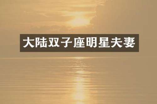 大陆双子座明星夫妻
