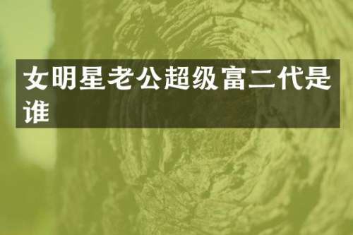 女明星老公超级富二代是谁