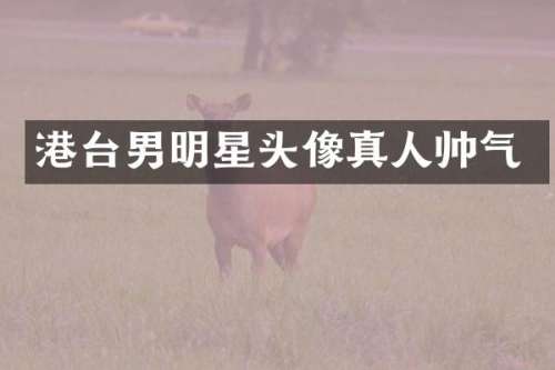 港台男明星头像真人帅气