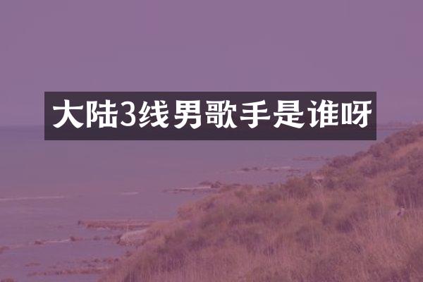 大陆3线男歌手是谁呀