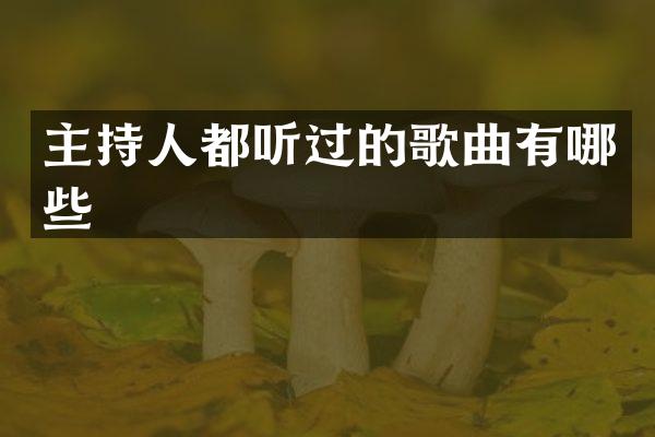 主持人都听过的歌曲有哪些