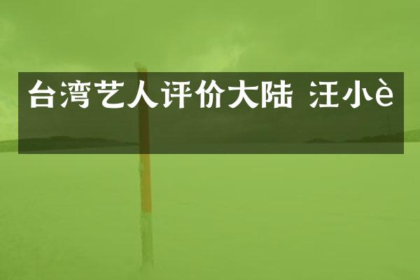 台湾艺人评价大陆 汪小菲