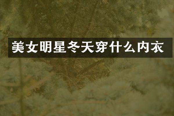 明星冬天穿什么内衣