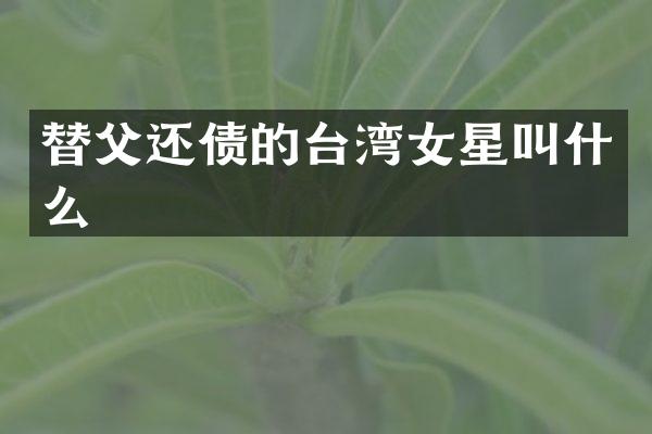 替父还债的台湾女星叫什么
