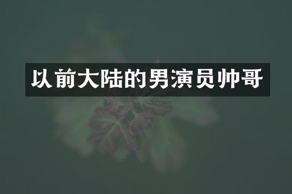 以前大陆的男演员帅哥