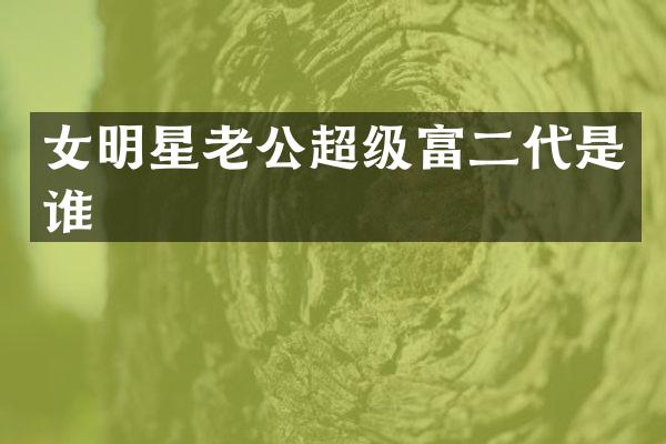 女明星老公超级富二代是谁