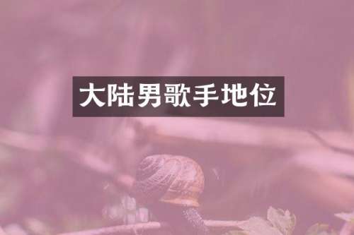 大陆男歌手地位