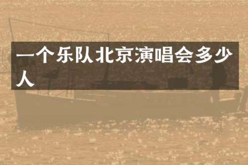 一个乐队北京演唱会多少人