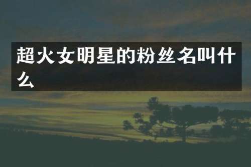 超火女明星的粉丝名叫什么