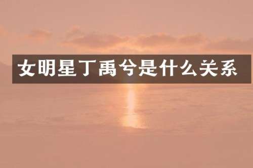 女明星丁禹兮是什么关系