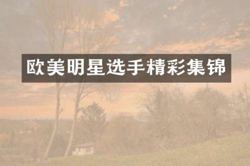 欧美明星选手精彩集锦